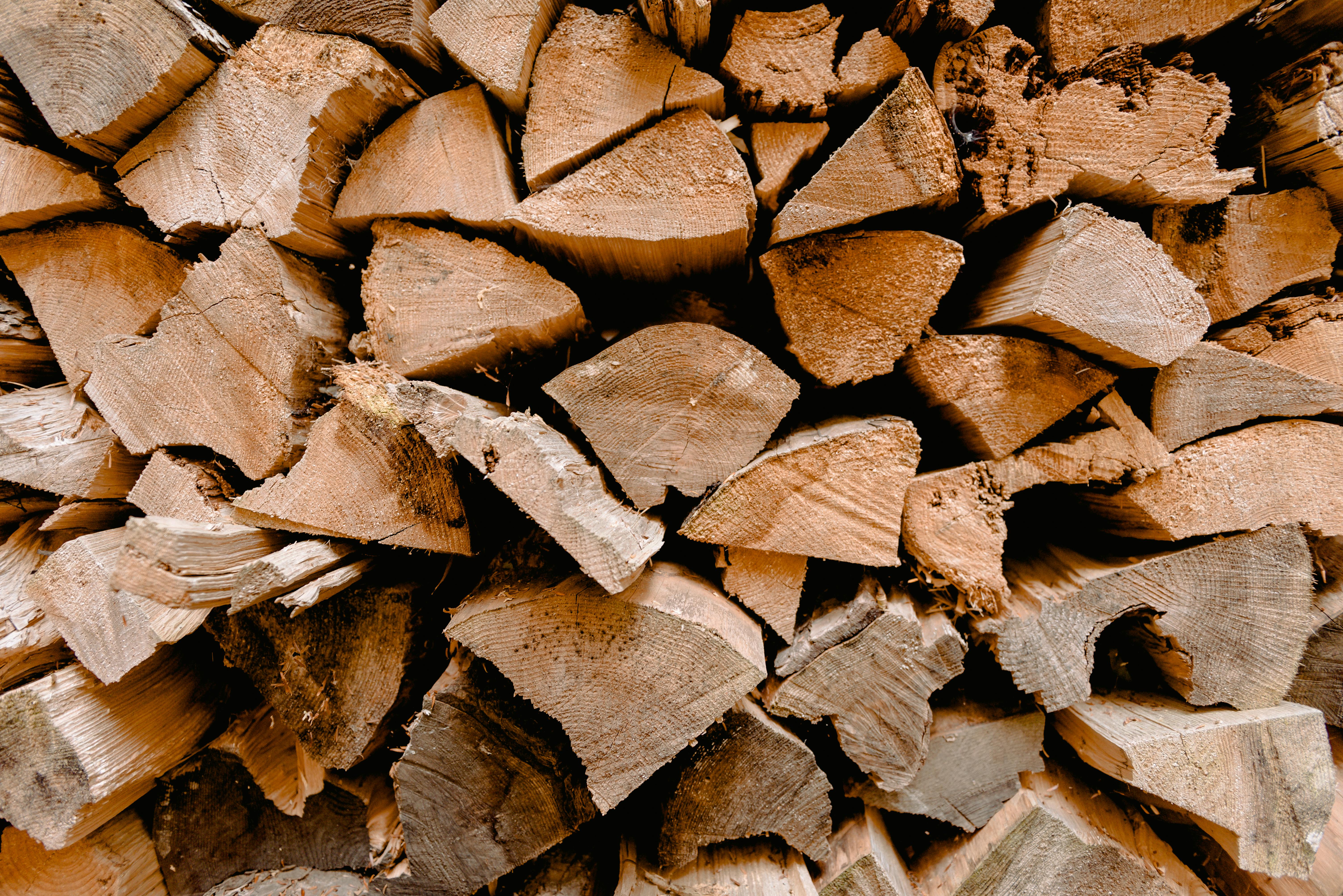 Bark Up or Bark Down? The Great Firewood Stacking Debate